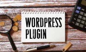 plug in wordpress